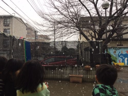 雪だ！ アスク東川口保育園